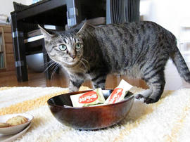 IMG03550.jpg