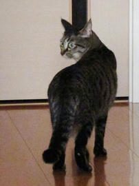 IMG03560.jpg