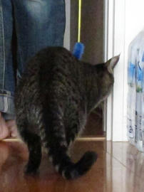 IMG03561.jpg