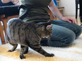 IMG03562.jpg