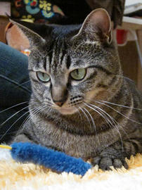 IMG03571.jpg