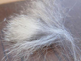 IMG03578.jpg