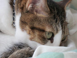 IMG03582.jpg