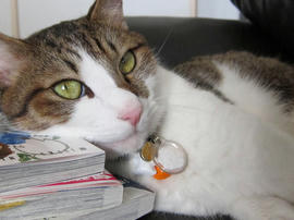 IMG03584.jpg
