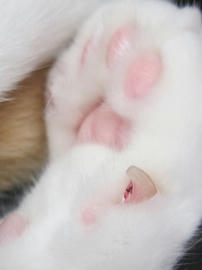 IMG03585.jpg