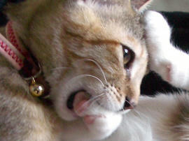 IMGP7420_2.jpg