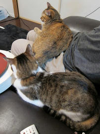 IMG03587.jpg