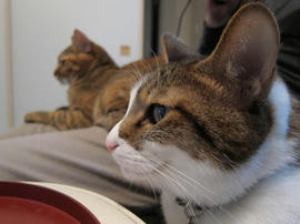 IMG03588.jpg