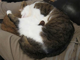 IMG03592.jpg