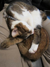 IMG03593.jpg