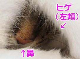 IMG03597.jpg