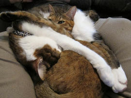 IMG03600.jpg