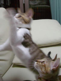 IMGP7439.jpg