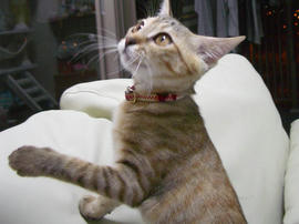 IMGP7445.jpg