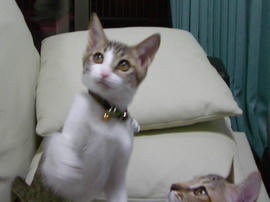 IMGP7436.jpg