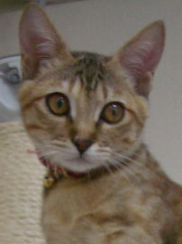 IMGP7452_2.jpg