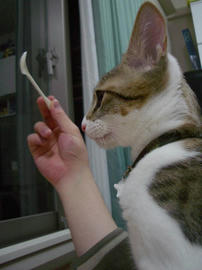 IMGP7490.jpg