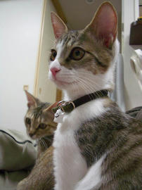 IMGP7514.jpg