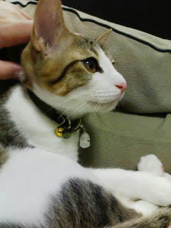 PA0_0173.jpg