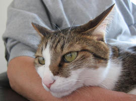 IMG03614.jpg