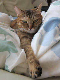 IMG03616.jpg