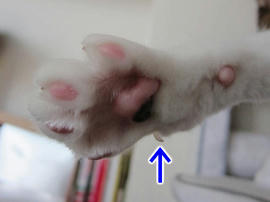 IMG03620.jpg