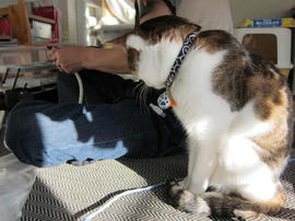IMG03623.jpg