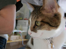 IMG03627.jpg
