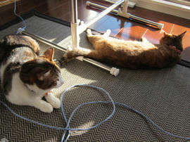IMG03629.jpg
