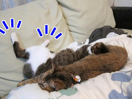 IMG03630.jpg