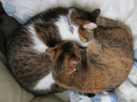 IMG03631.jpg