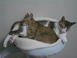 IMGP7531.jpg