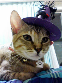 PAP_0170.jpg