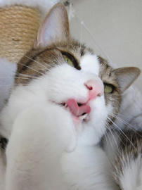 IMG03638.jpg