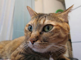 IMG03645.jpg