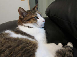 IMG03647.jpg