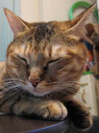IMG03646.jpg