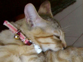 IMGP7556_2.jpg