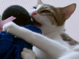 IMGP7555_2.jpg
