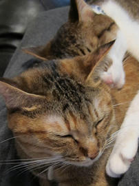 IMG03649.jpg