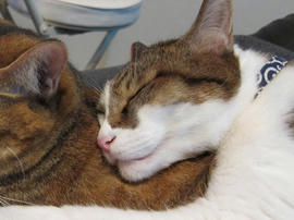 IMG03650.jpg