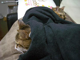 IMGP12346.jpg