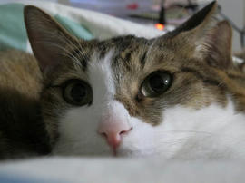 IMG03653.jpg