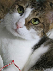 IMG03657.jpg