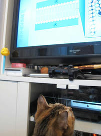 IMG03660.jpg