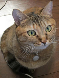 IMG03662.jpg