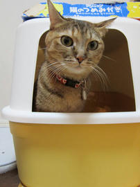 IMG03665.jpg