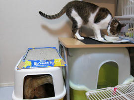 IMG03666.jpg