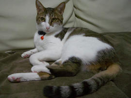 IMGP12359.jpg