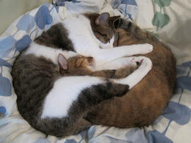 IMG03678.jpg